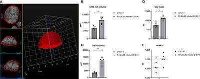 Assessment of Toxoplasma gondii lytic cycle and the impact of a gene deletion using 3D label-free optical diffraction holotomography